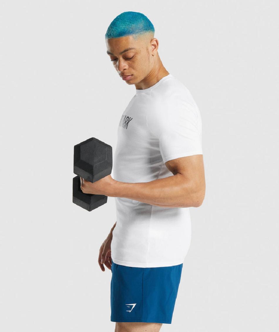 T Shirts Gymshark Apollo ανδρικα ασπρα | GR_XC9440