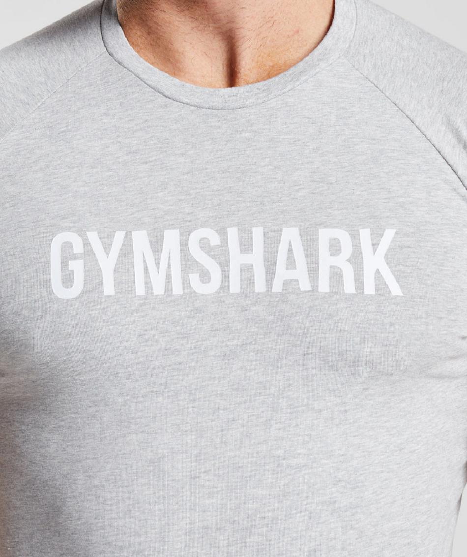 T Shirts Gymshark Apollo ανδρικα ανοιχτο γκρι | GR_ZI2917