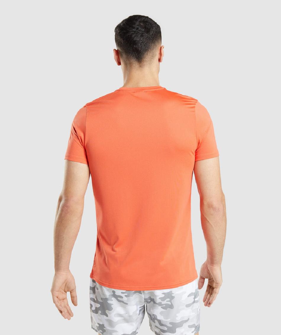 T Shirts Gymshark Arrival Graphic ανδρικα πορτοκαλι | GR_TG9752