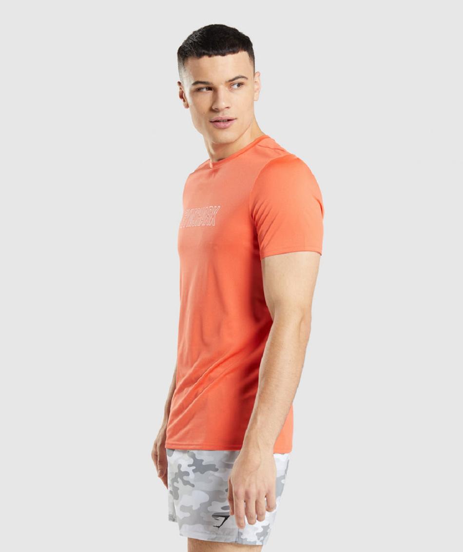 T Shirts Gymshark Arrival Graphic ανδρικα πορτοκαλι | GR_TG9752