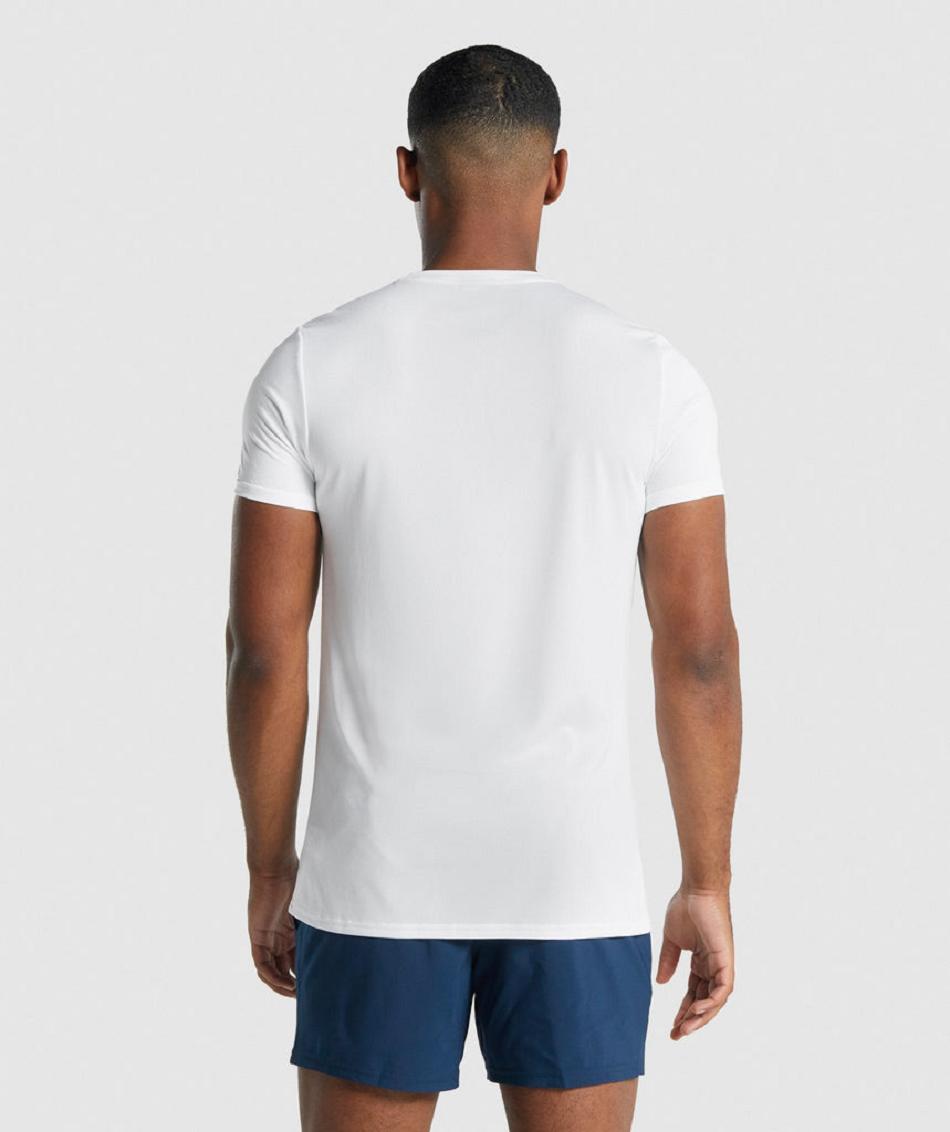 T Shirts Gymshark Arrival Graphic ανδρικα ασπρα | GR_ZI2715