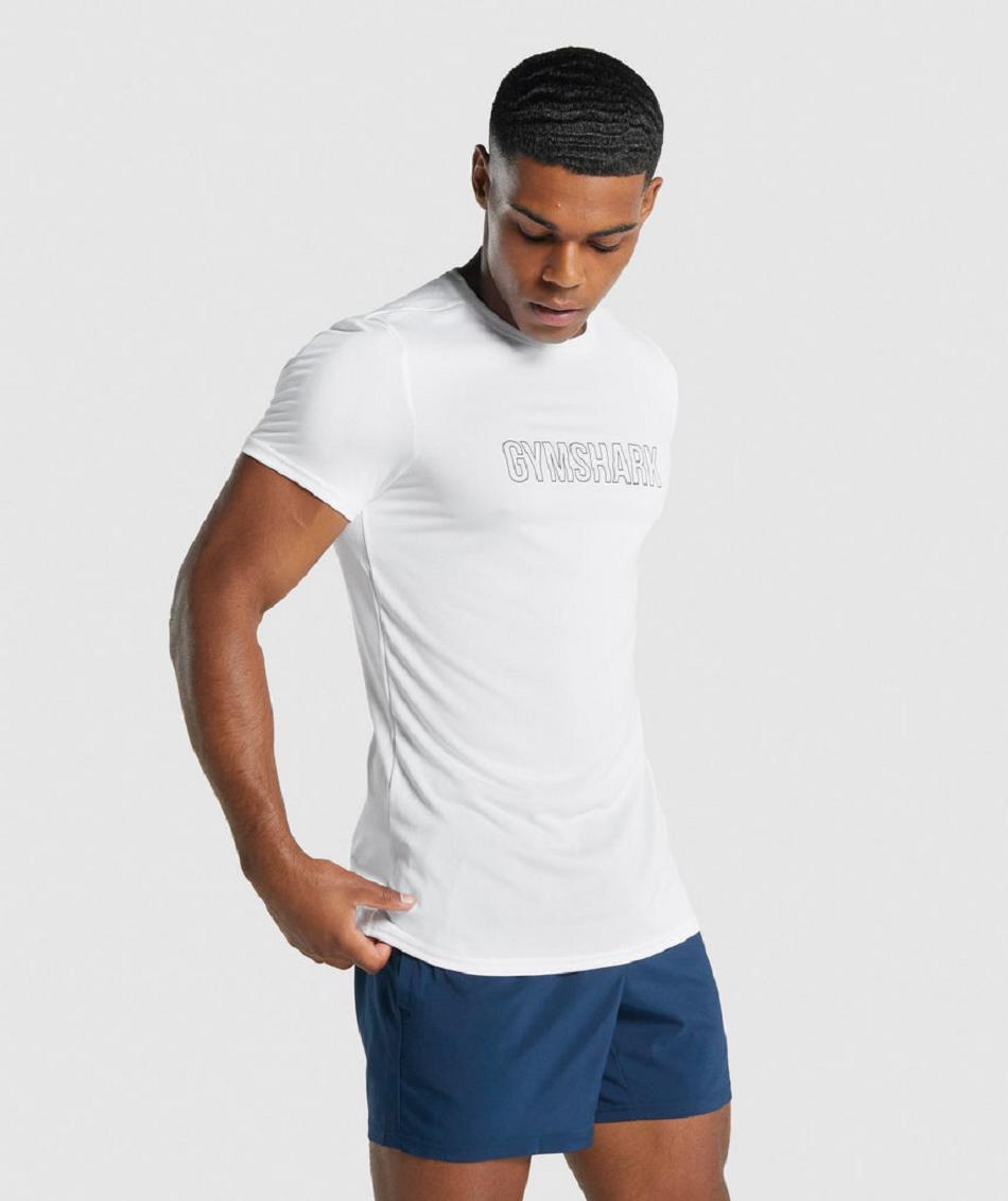 T Shirts Gymshark Arrival Graphic ανδρικα ασπρα | GR_ZI2715
