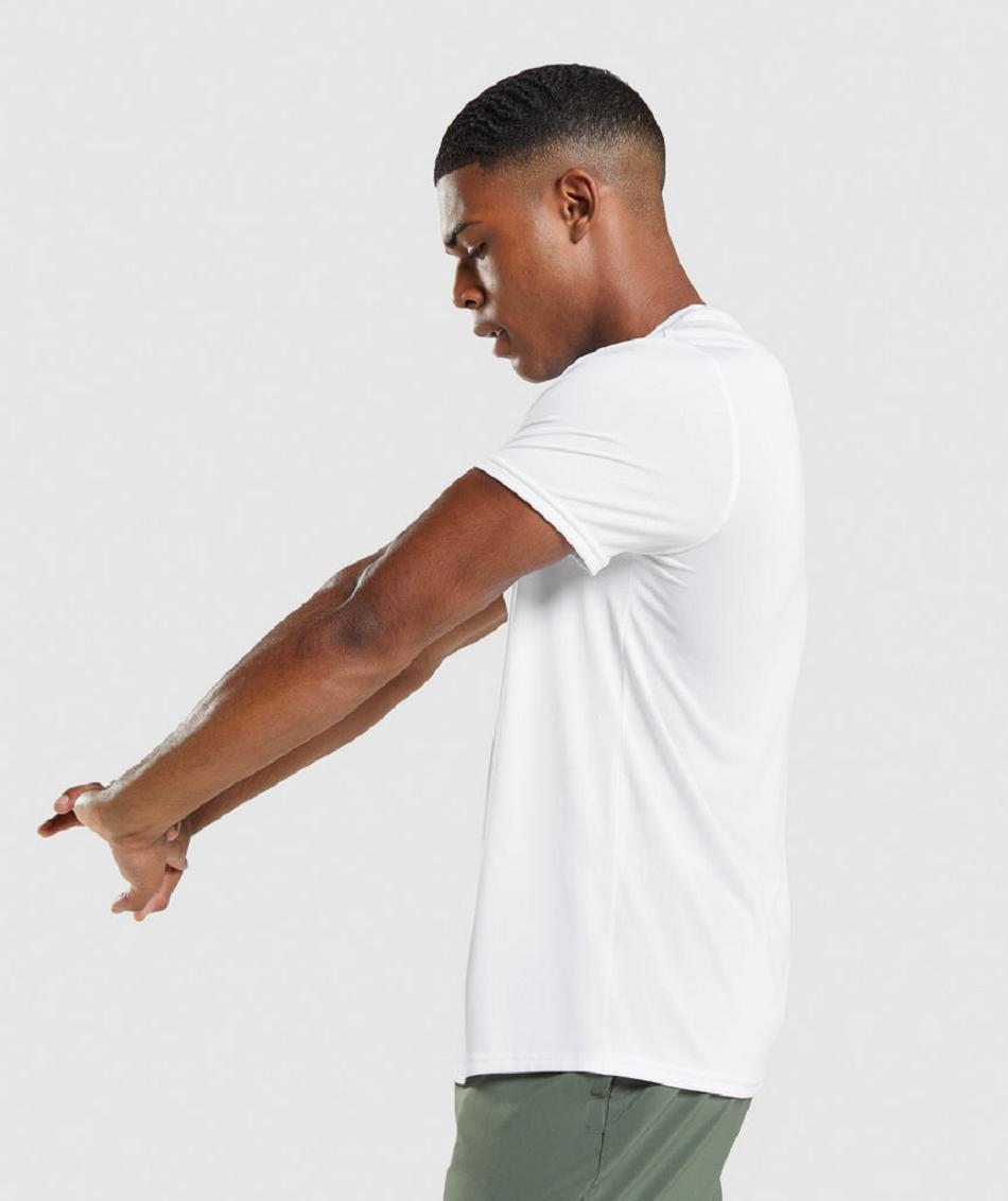 T Shirts Gymshark Arrival Regular Fit ανδρικα ασπρα | GR_Q2569