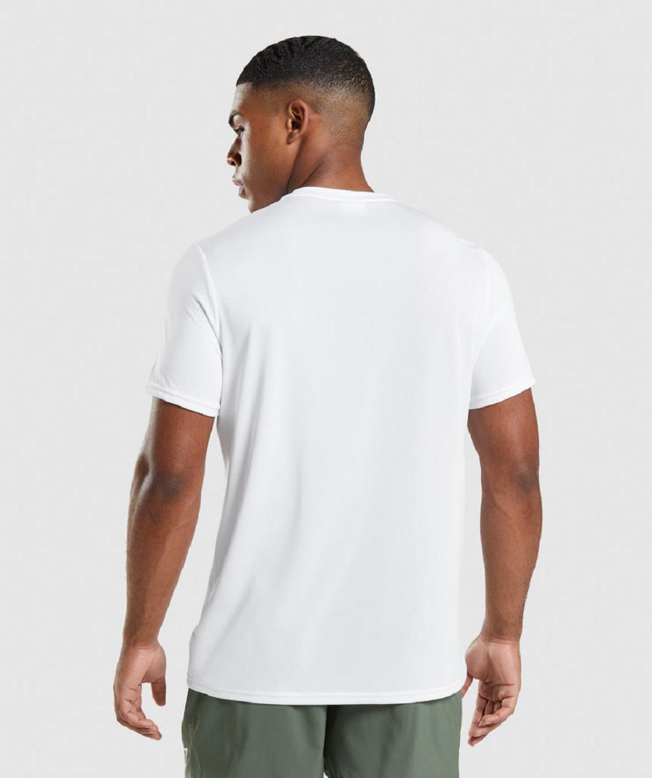 T Shirts Gymshark Arrival Regular Fit ανδρικα ασπρα | GR_Q2569