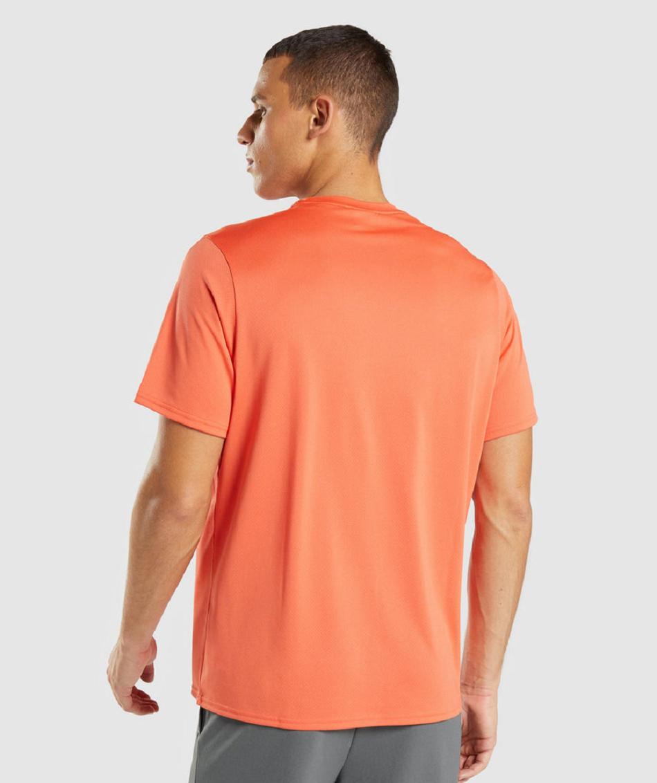 T Shirts Gymshark Arrival Regular Fit ανδρικα πορτοκαλι | GR_MI7185