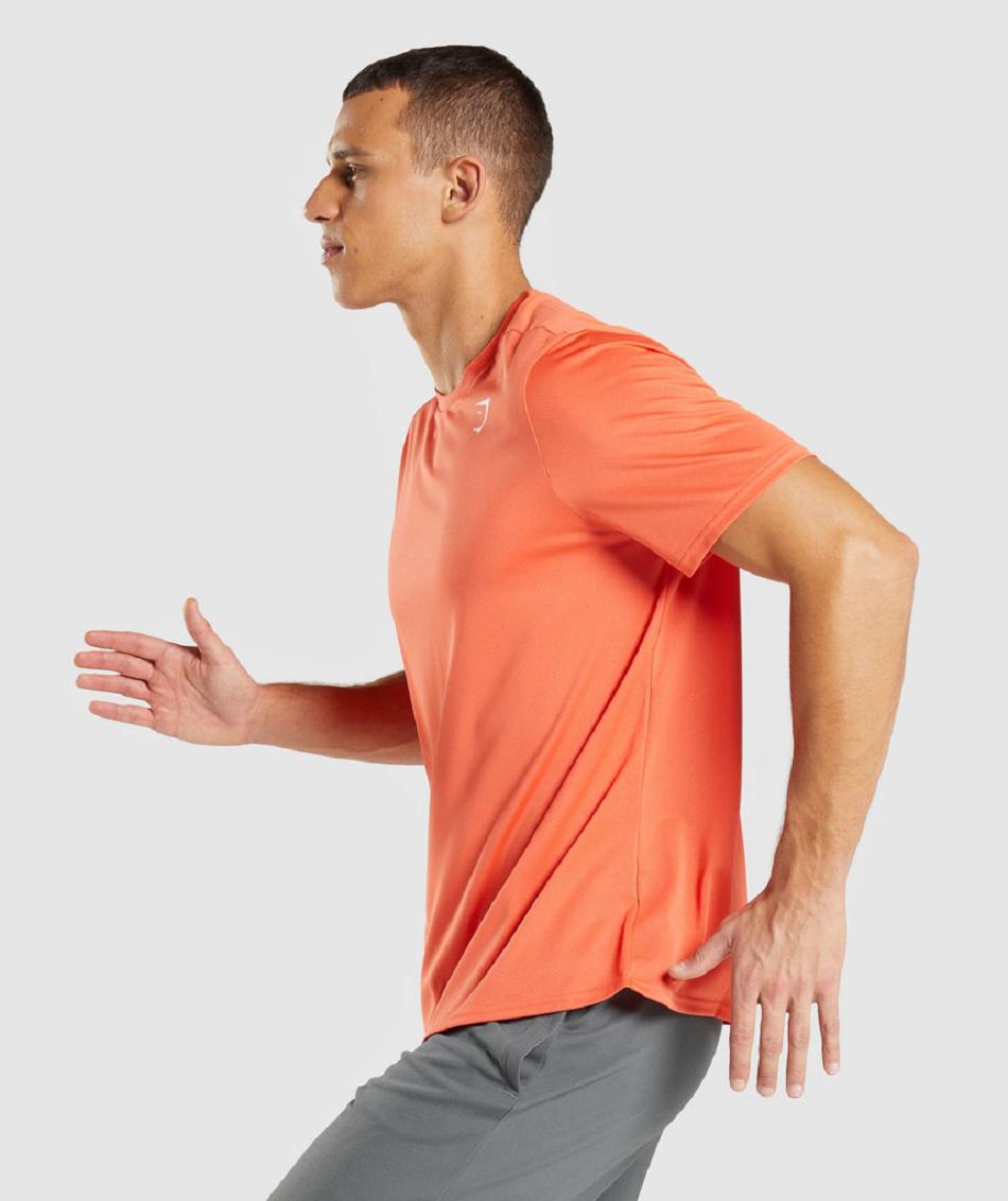 T Shirts Gymshark Arrival Regular Fit ανδρικα πορτοκαλι | GR_MI7185