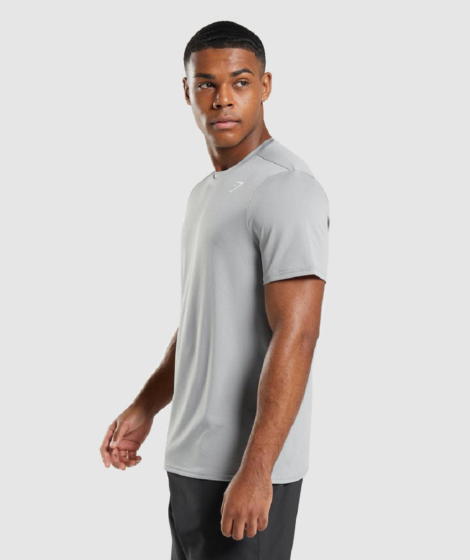 T Shirts Gymshark Arrival Regular Fit ανδρικα γκρι | GR_TH5597