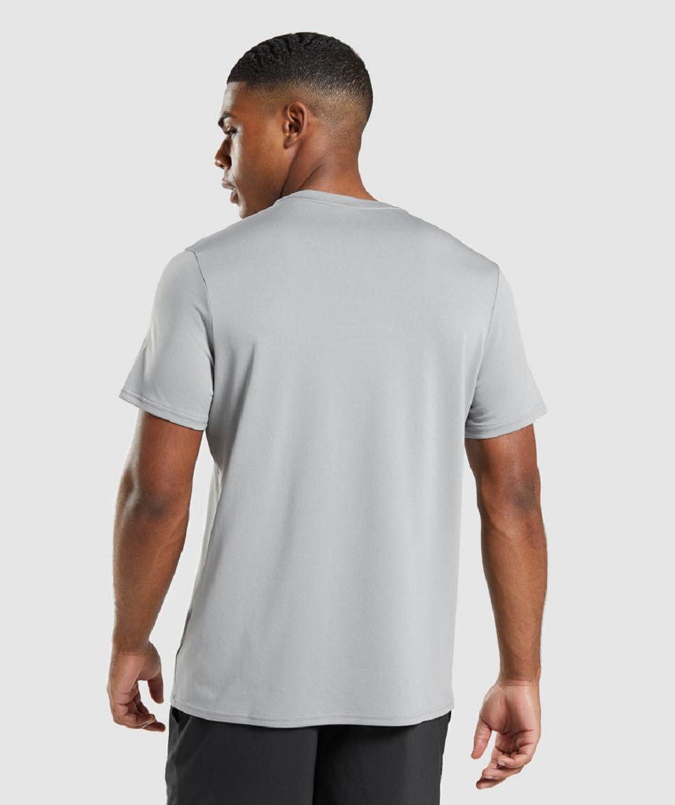 T Shirts Gymshark Arrival Regular Fit ανδρικα γκρι | GR_TH5597