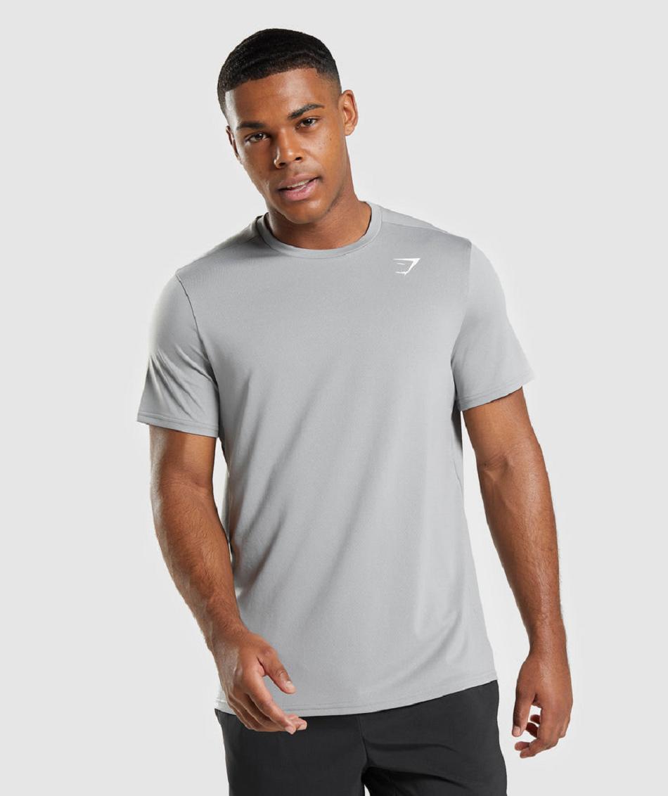 T Shirts Gymshark Arrival Regular Fit ανδρικα γκρι | GR_TH5597