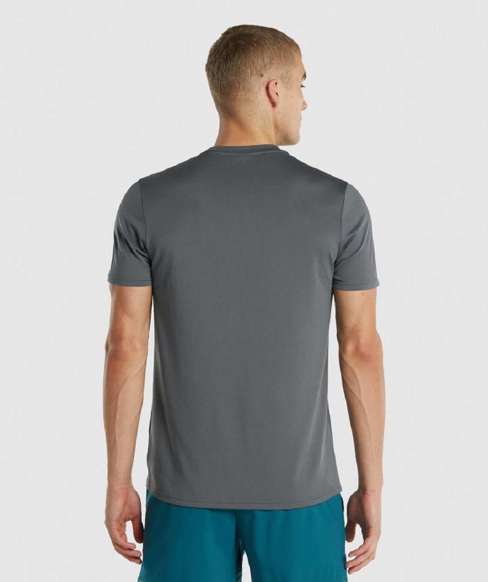T Shirts Gymshark Arrival Regular Fit ανδρικα γκρι | GR_QX8820