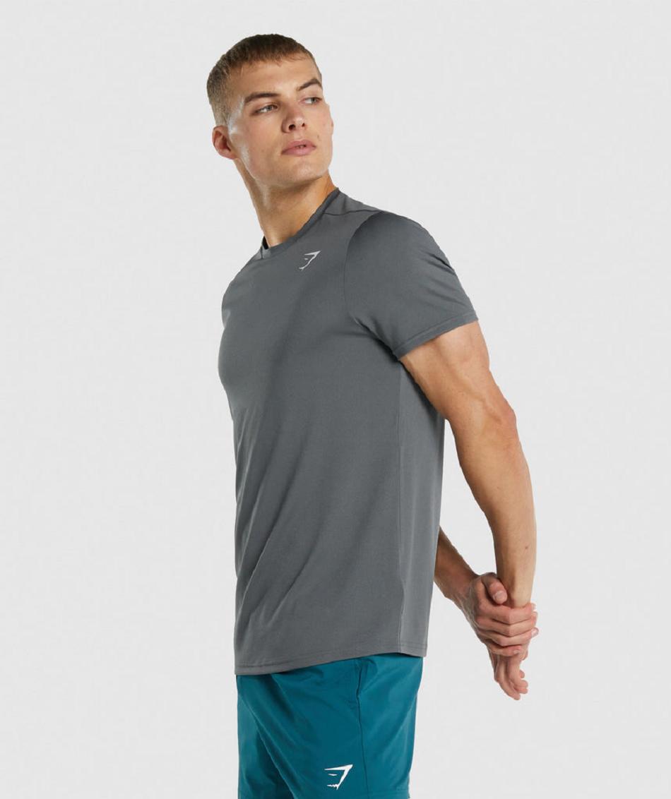 T Shirts Gymshark Arrival Regular Fit ανδρικα γκρι | GR_QX8820