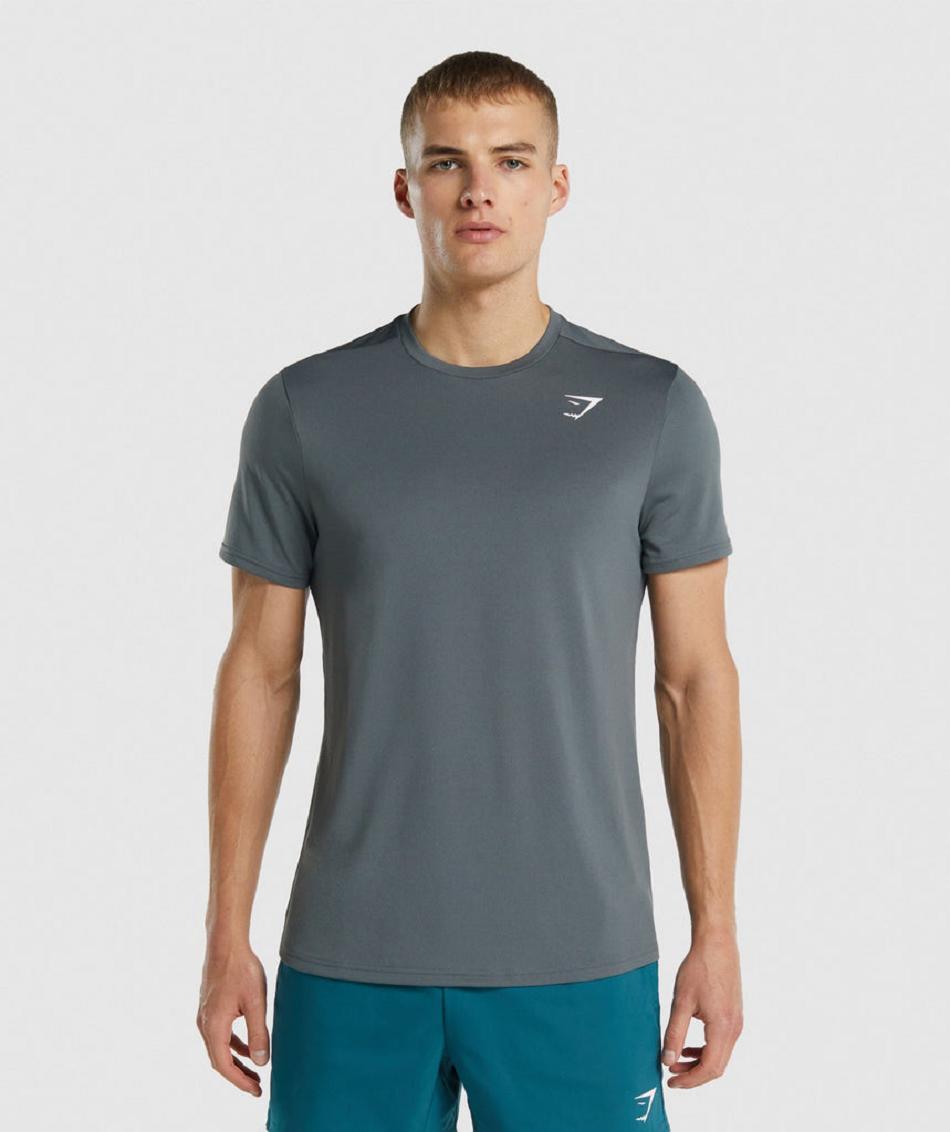 T Shirts Gymshark Arrival Regular Fit ανδρικα γκρι | GR_QX8820