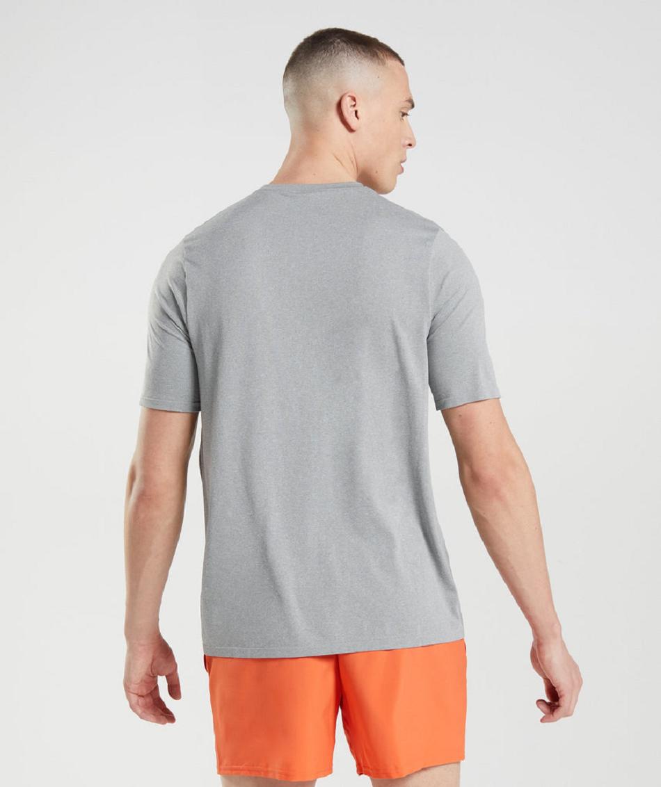 T Shirts Gymshark Arrival Seamless ανδρικα γκρι | GR_XC8934