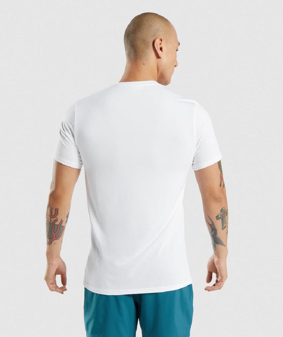 T Shirts Gymshark Arrival ανδρικα ασπρα | GR_AZ6439