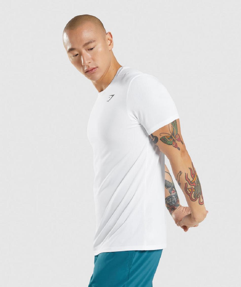 T Shirts Gymshark Arrival ανδρικα ασπρα | GR_AZ6439