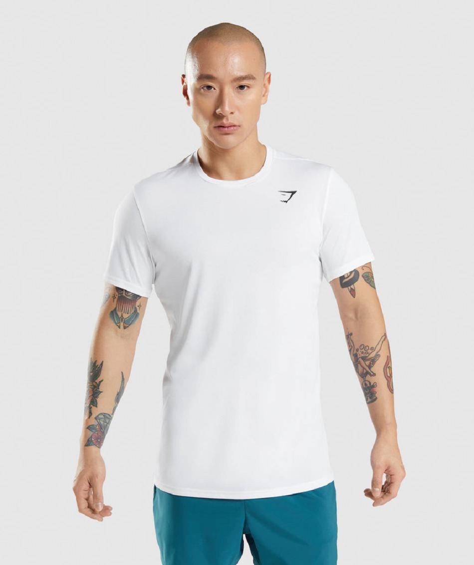 T Shirts Gymshark Arrival ανδρικα ασπρα | GR_AZ6439