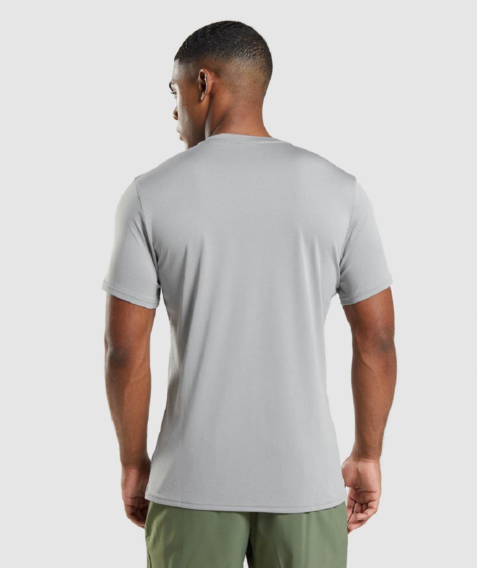T Shirts Gymshark Arrival ανδρικα γκρι | GR_CG2803
