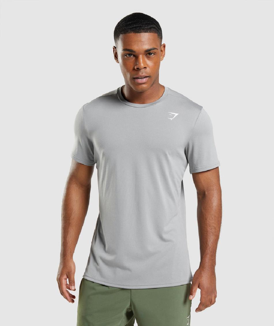 T Shirts Gymshark Arrival ανδρικα γκρι | GR_CG2803