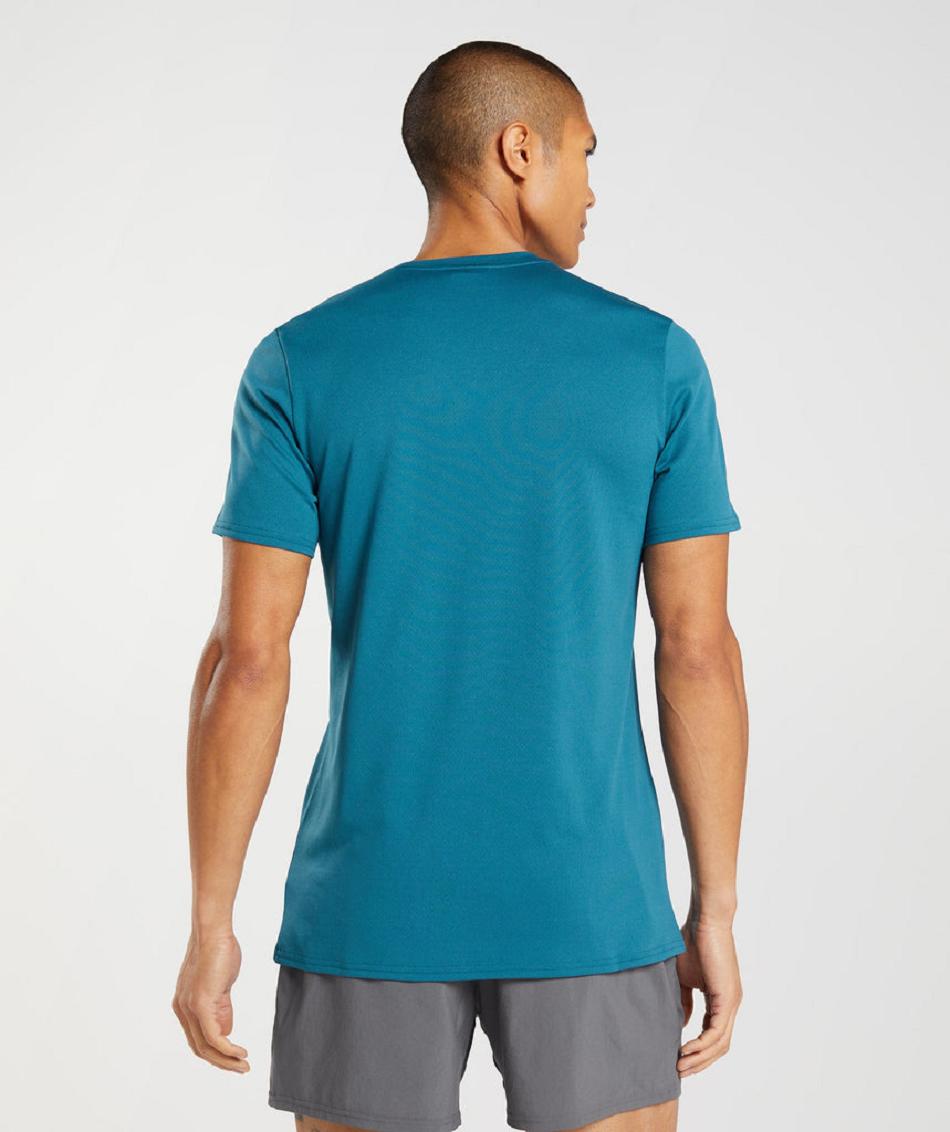T Shirts Gymshark Arrival ανδρικα μπλε | GR_EG9992