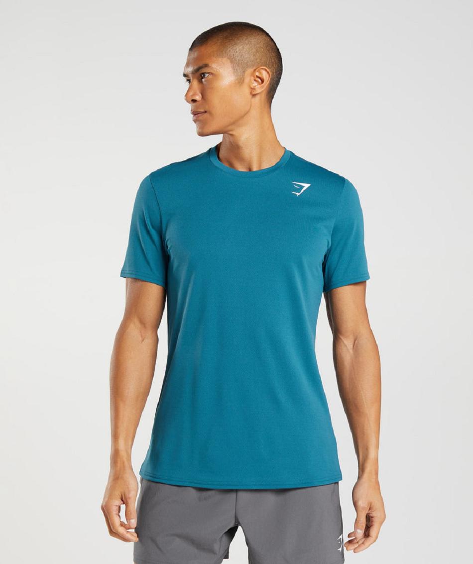 T Shirts Gymshark Arrival ανδρικα μπλε | GR_EG9992