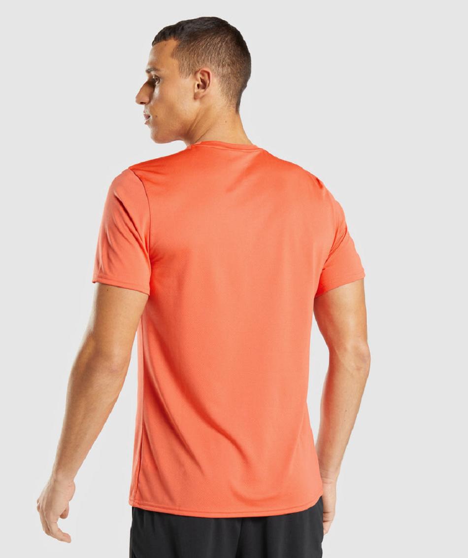 T Shirts Gymshark Arrival ανδρικα πορτοκαλι | GR_EP3896