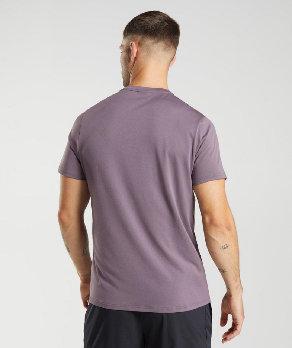T Shirts Gymshark Arrival ανδρικα μωβ | GR_K7510