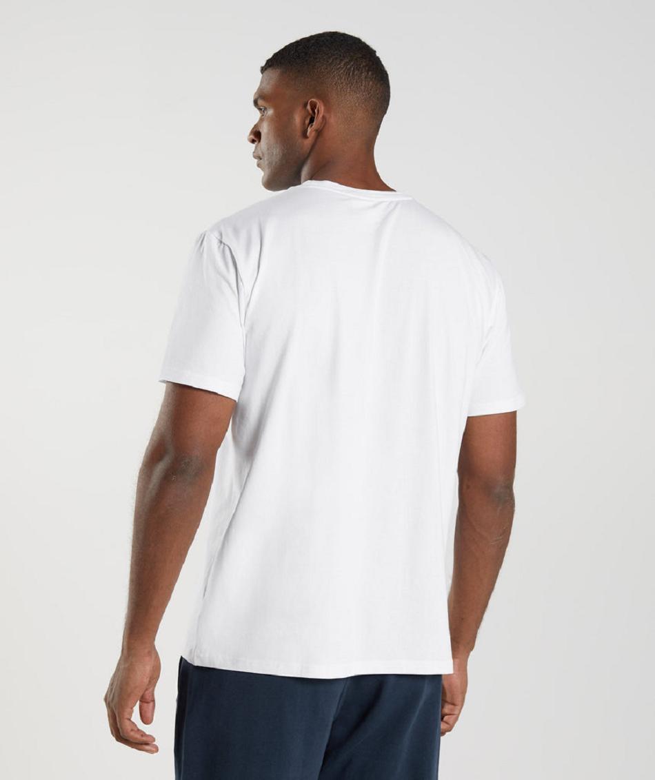 T Shirts Gymshark Block ανδρικα ασπρα | GR_TG6676