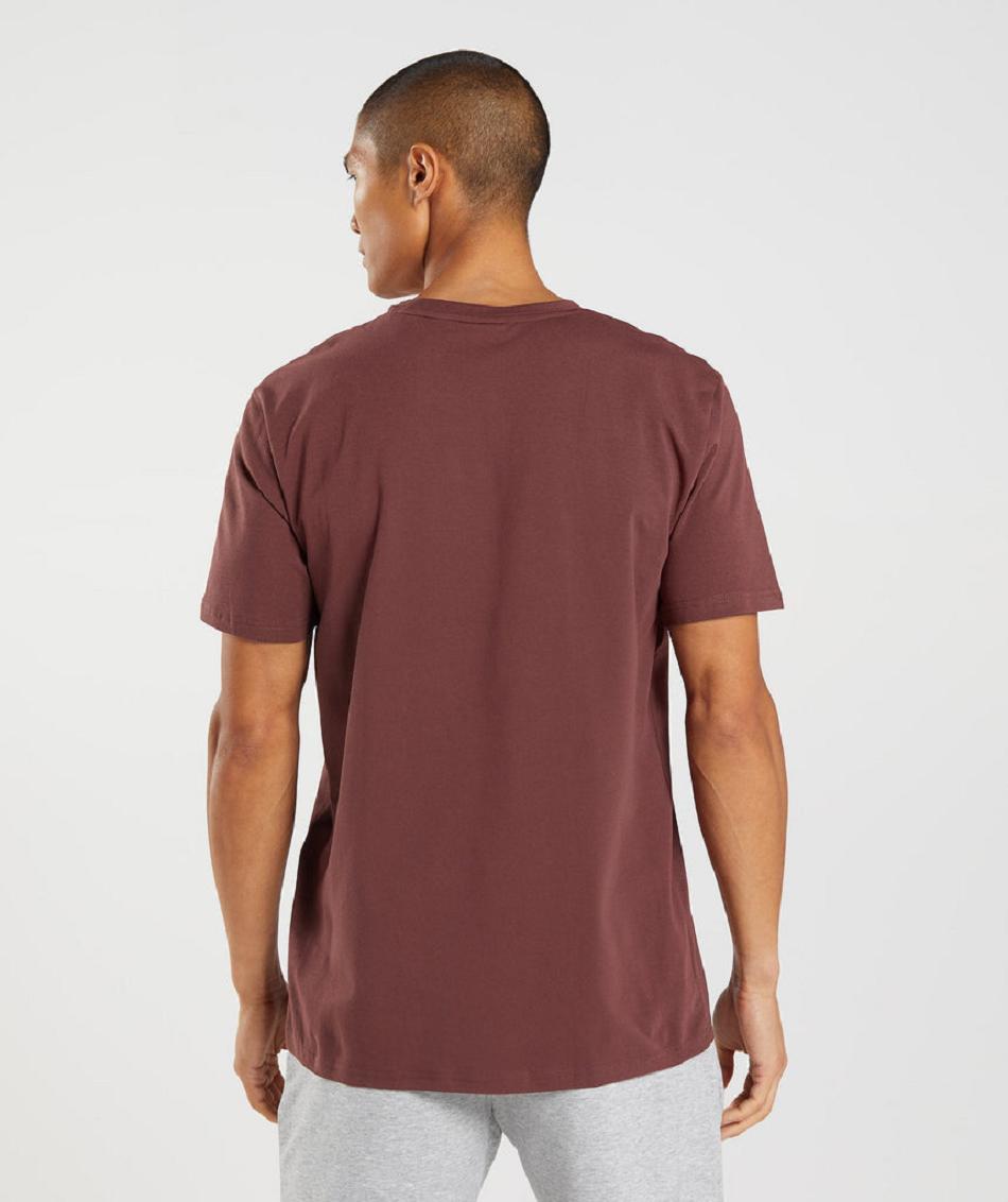 T Shirts Gymshark Block ανδρικα ροζ καφε | GR_VV7436