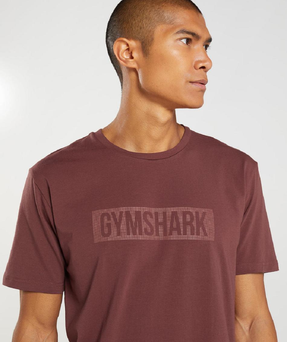 T Shirts Gymshark Block ανδρικα ροζ καφε | GR_VV7436