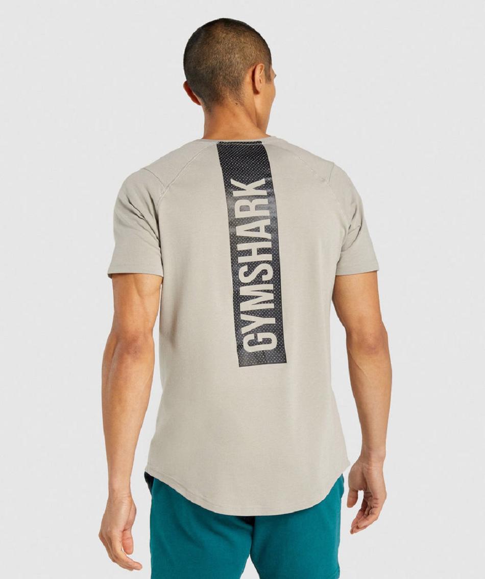 T Shirts Gymshark Bold ανδρικα γκρι | GR_AZ1247