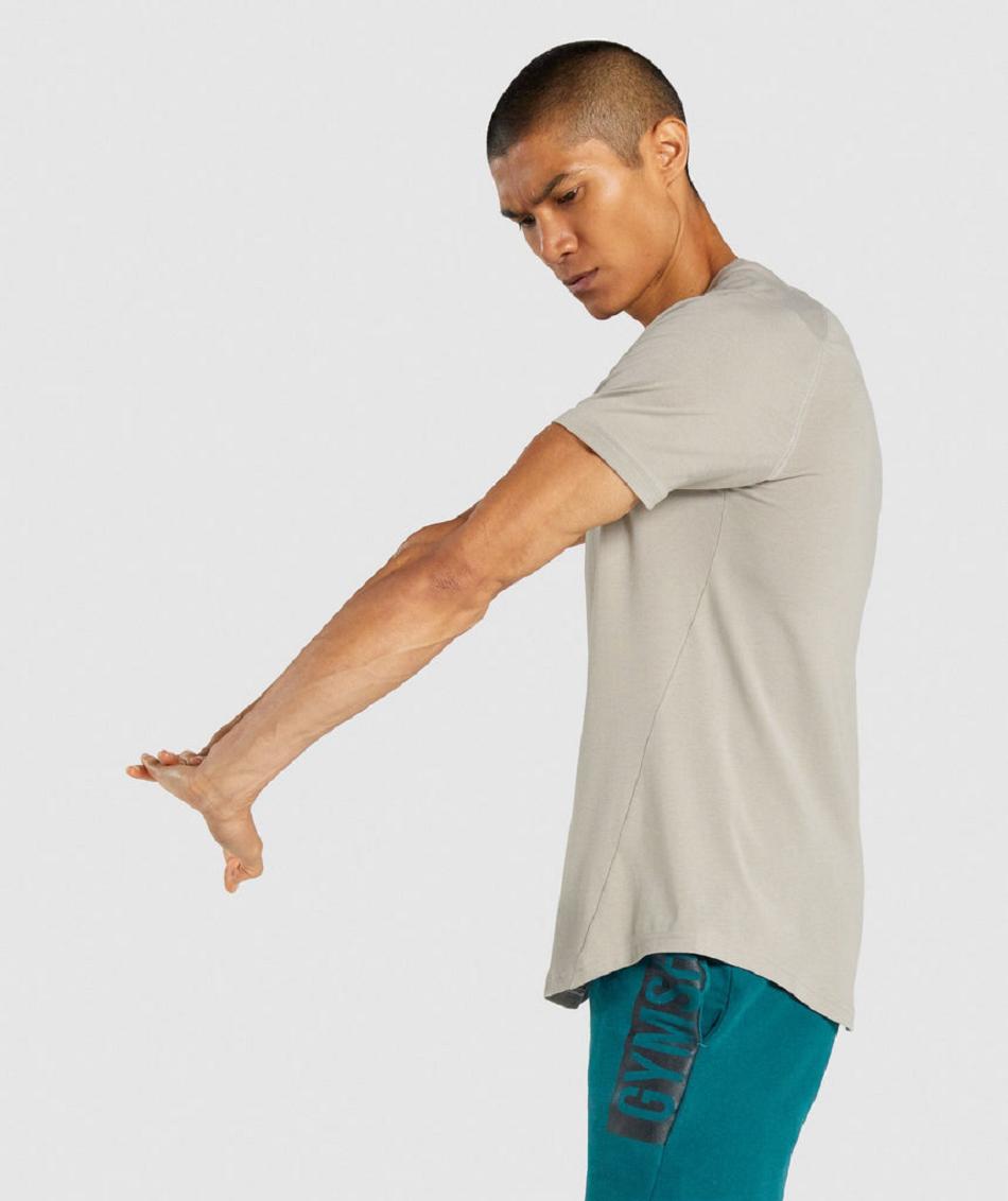 T Shirts Gymshark Bold ανδρικα γκρι | GR_AZ1247