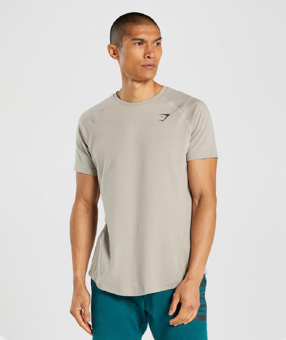 T Shirts Gymshark Bold ανδρικα γκρι | GR_AZ1247