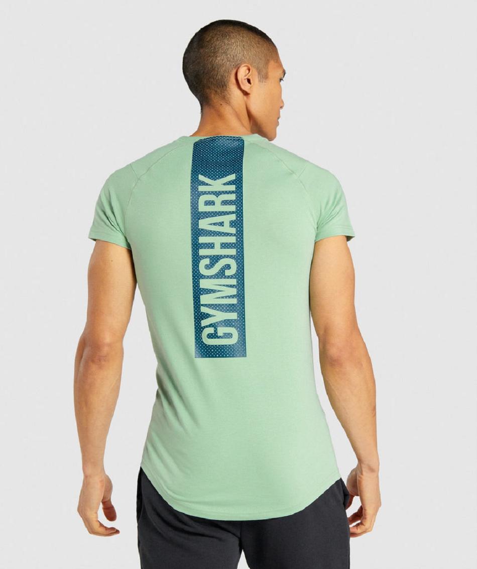 T Shirts Gymshark Bold ανδρικα πρασινο | GR_EC9384