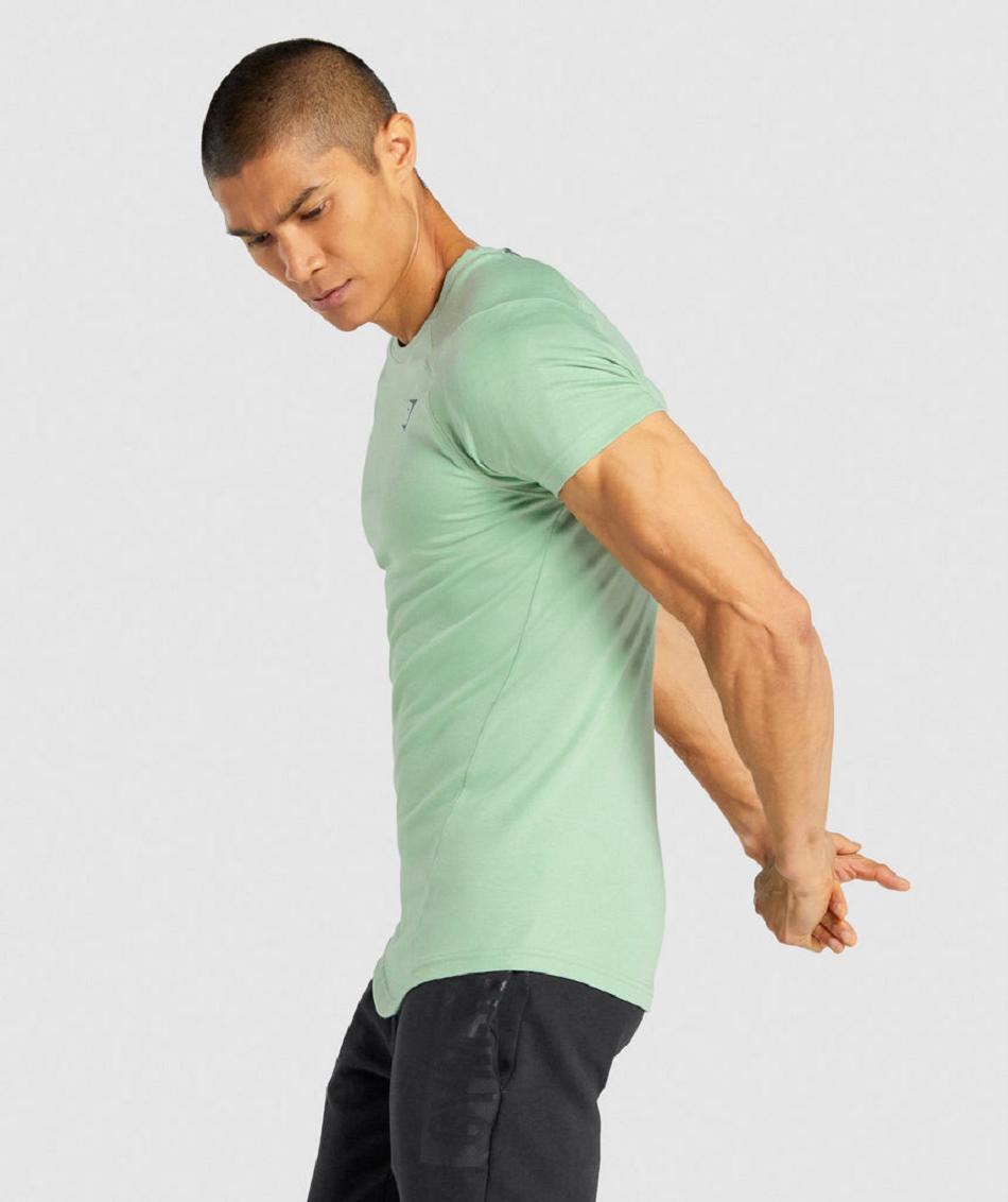 T Shirts Gymshark Bold ανδρικα πρασινο | GR_EC9384