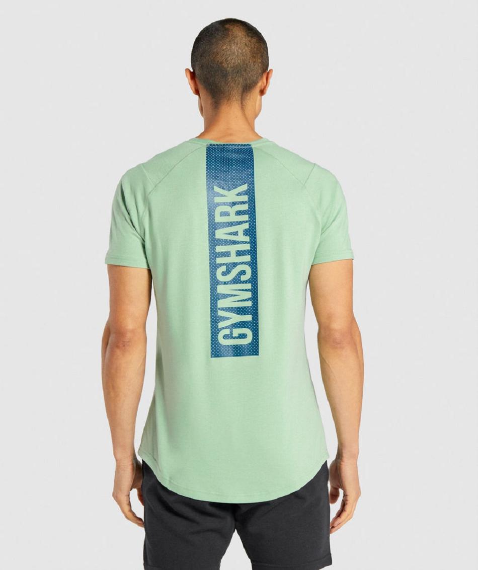 T Shirts Gymshark Bold ανδρικα πρασινο | GR_K7486