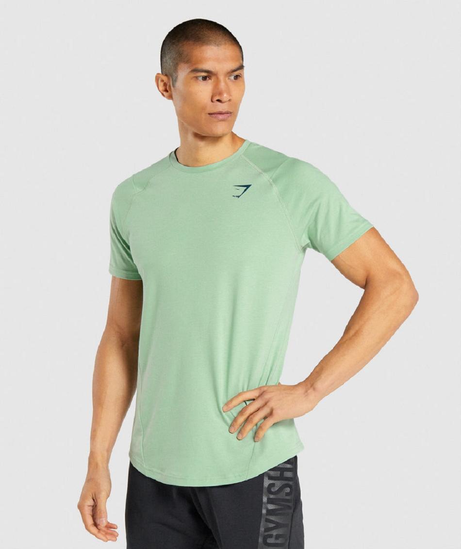 T Shirts Gymshark Bold ανδρικα πρασινο | GR_K7486