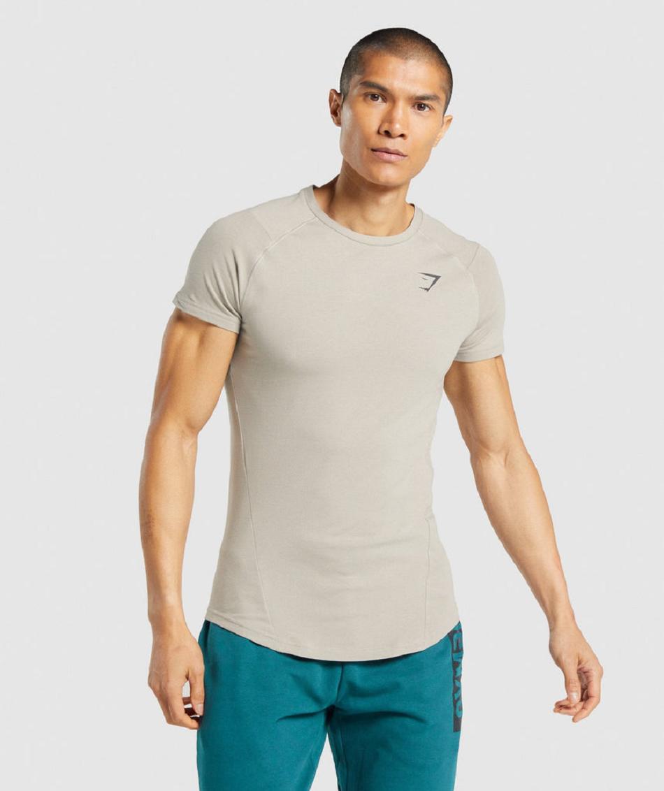 T Shirts Gymshark Bold ανδρικα γκρι | GR_NN8401