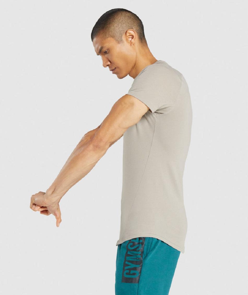 T Shirts Gymshark Bold ανδρικα γκρι | GR_NN8401