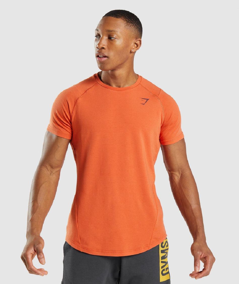 T Shirts Gymshark Bold ανδρικα πορτοκαλι | GR_R3208