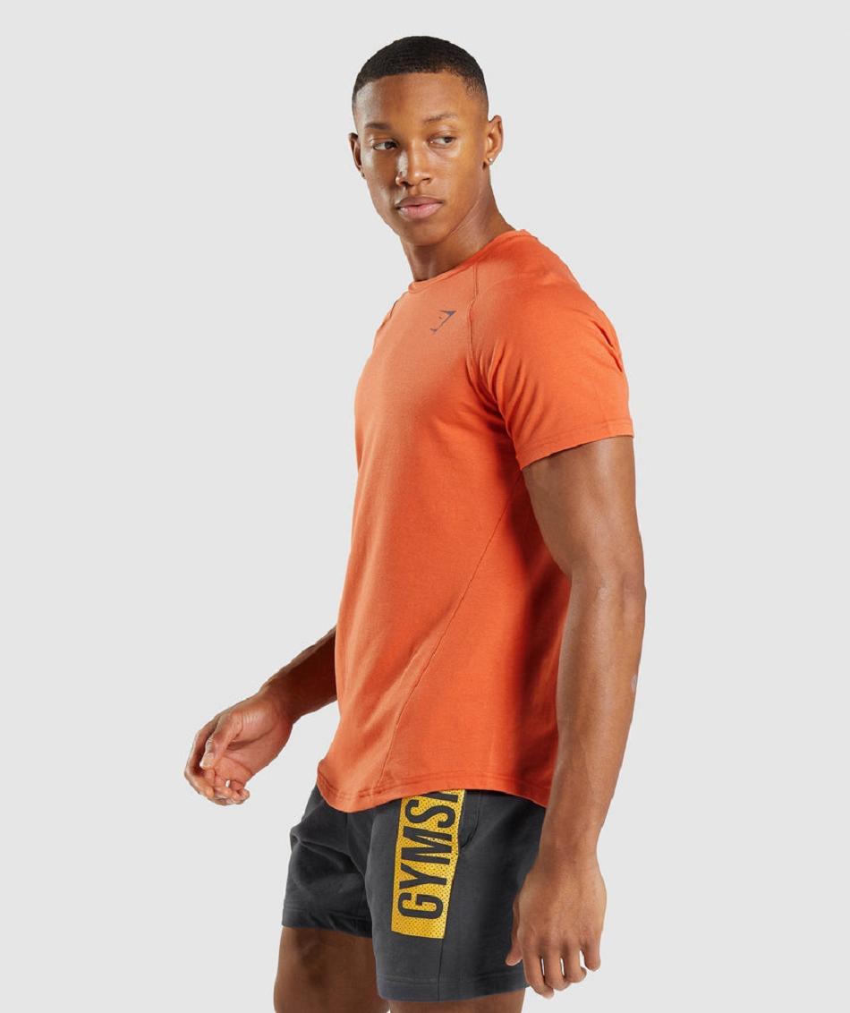 T Shirts Gymshark Bold ανδρικα πορτοκαλι | GR_R3208