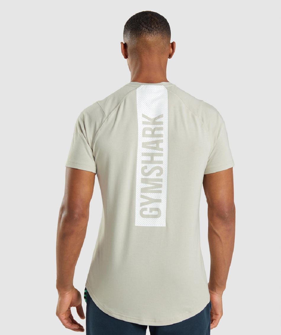 T Shirts Gymshark Bold ανδρικα γκρι | GR_SG5955