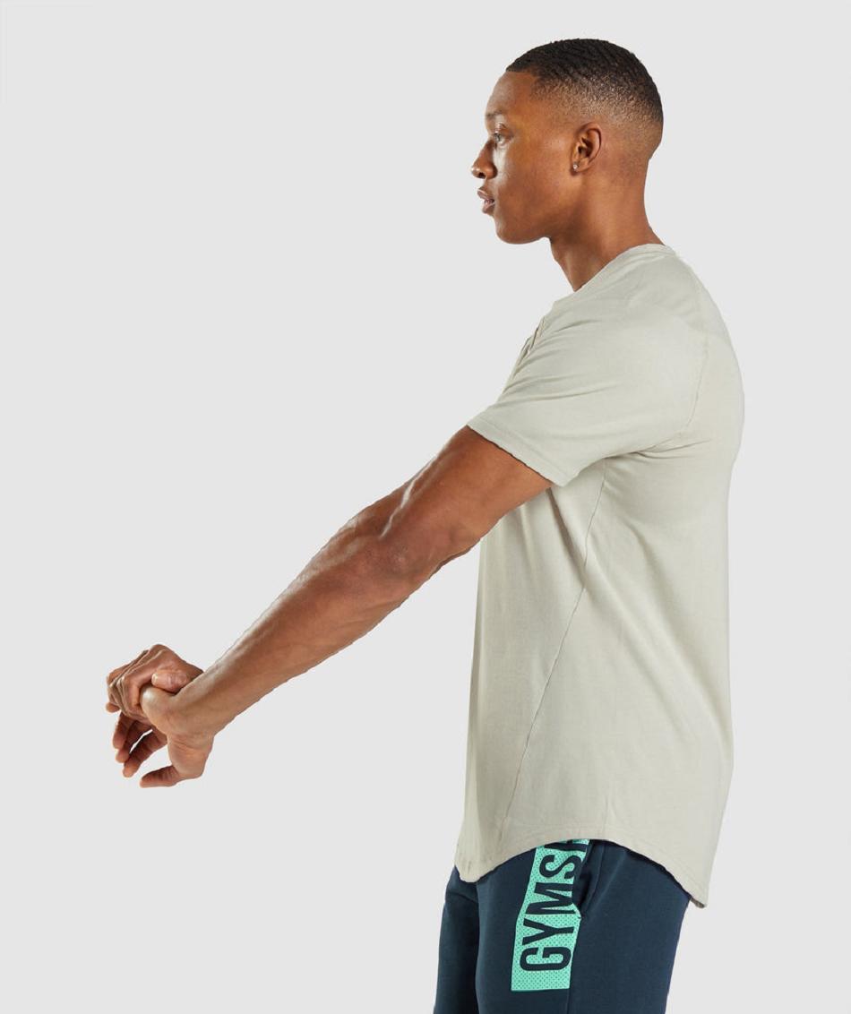 T Shirts Gymshark Bold ανδρικα γκρι | GR_SG5955