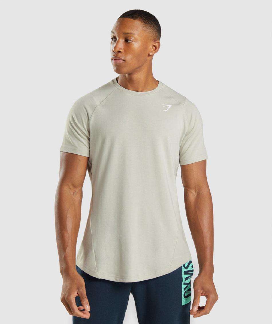 T Shirts Gymshark Bold ανδρικα γκρι | GR_SG5955