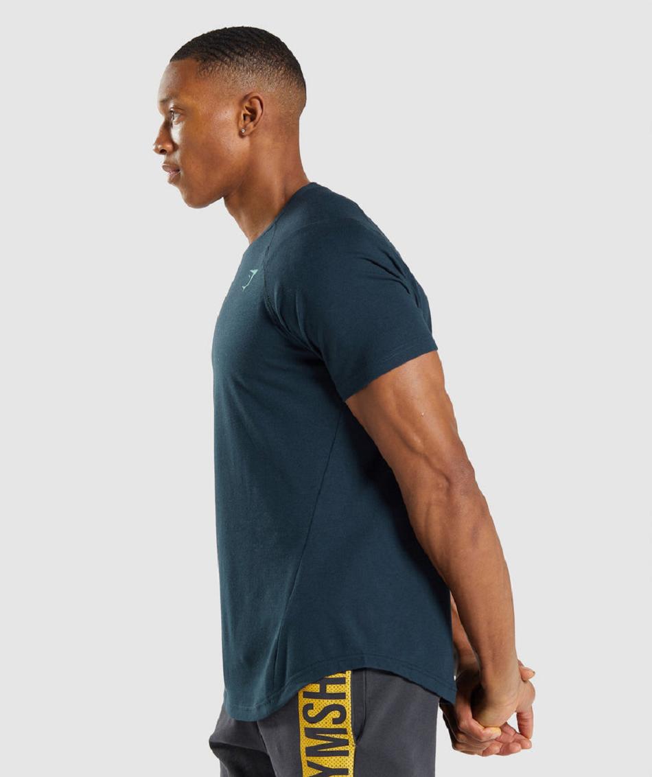 T Shirts Gymshark Bold ανδρικα σκουρο μπλε | GR_ED4922