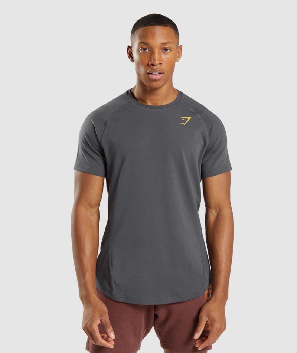 T Shirts Gymshark Bold ανδρικα μαυρα γκρι | GR_YQ3155