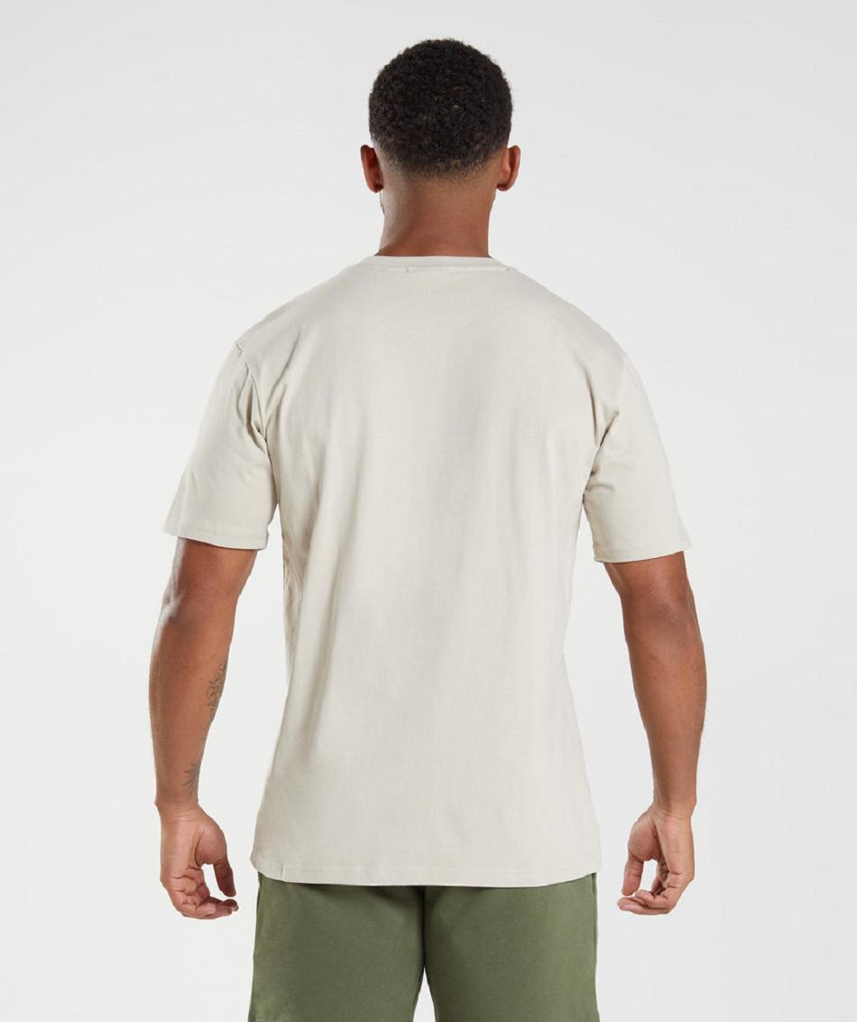 T Shirts Gymshark Crest ανδρικα γκρι | GR_MI9100