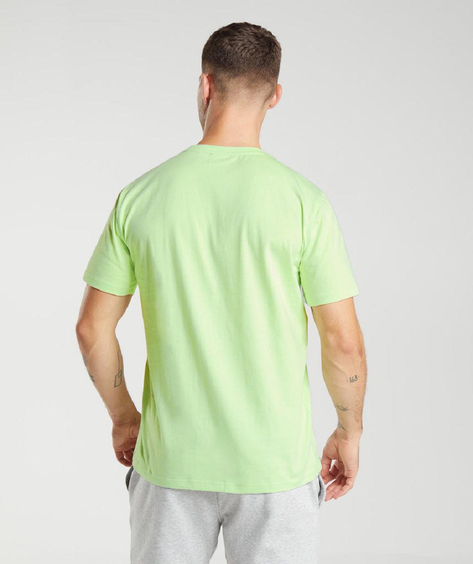 T Shirts Gymshark Crest ανδρικα πρασινο | GR_XC8584