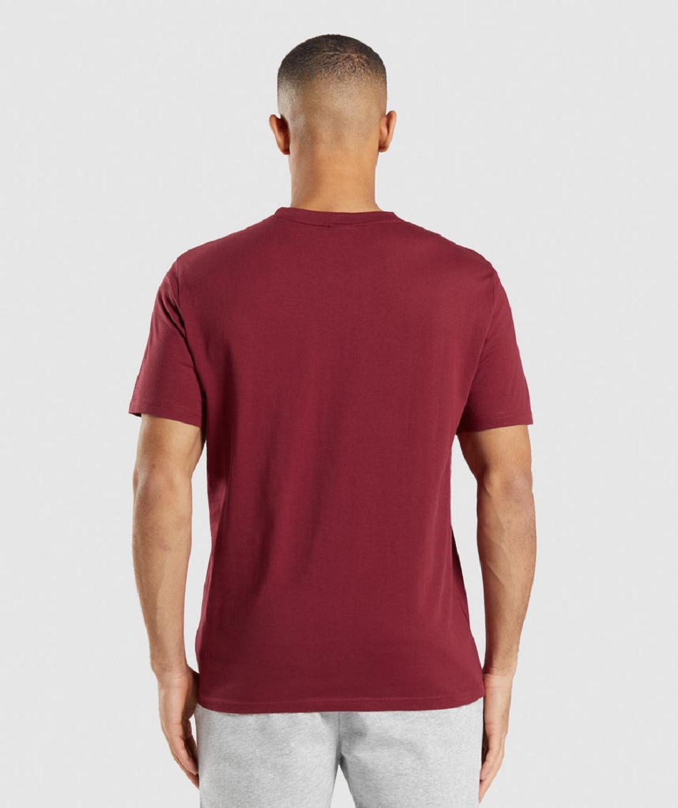 T Shirts Gymshark Crest ανδρικα μπορντο κοκκινα | GR_AZ7493