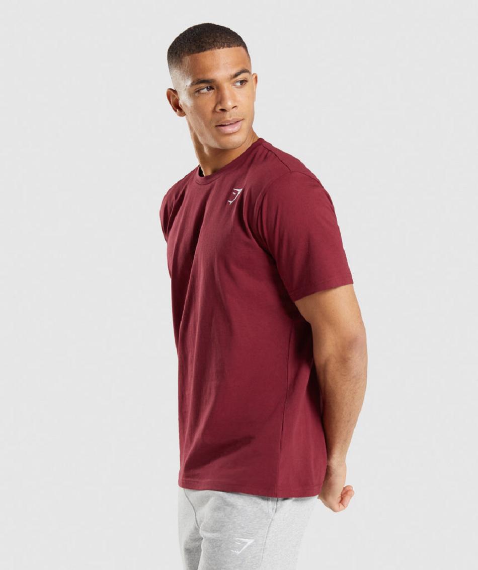T Shirts Gymshark Crest ανδρικα μπορντο κοκκινα | GR_AZ7493