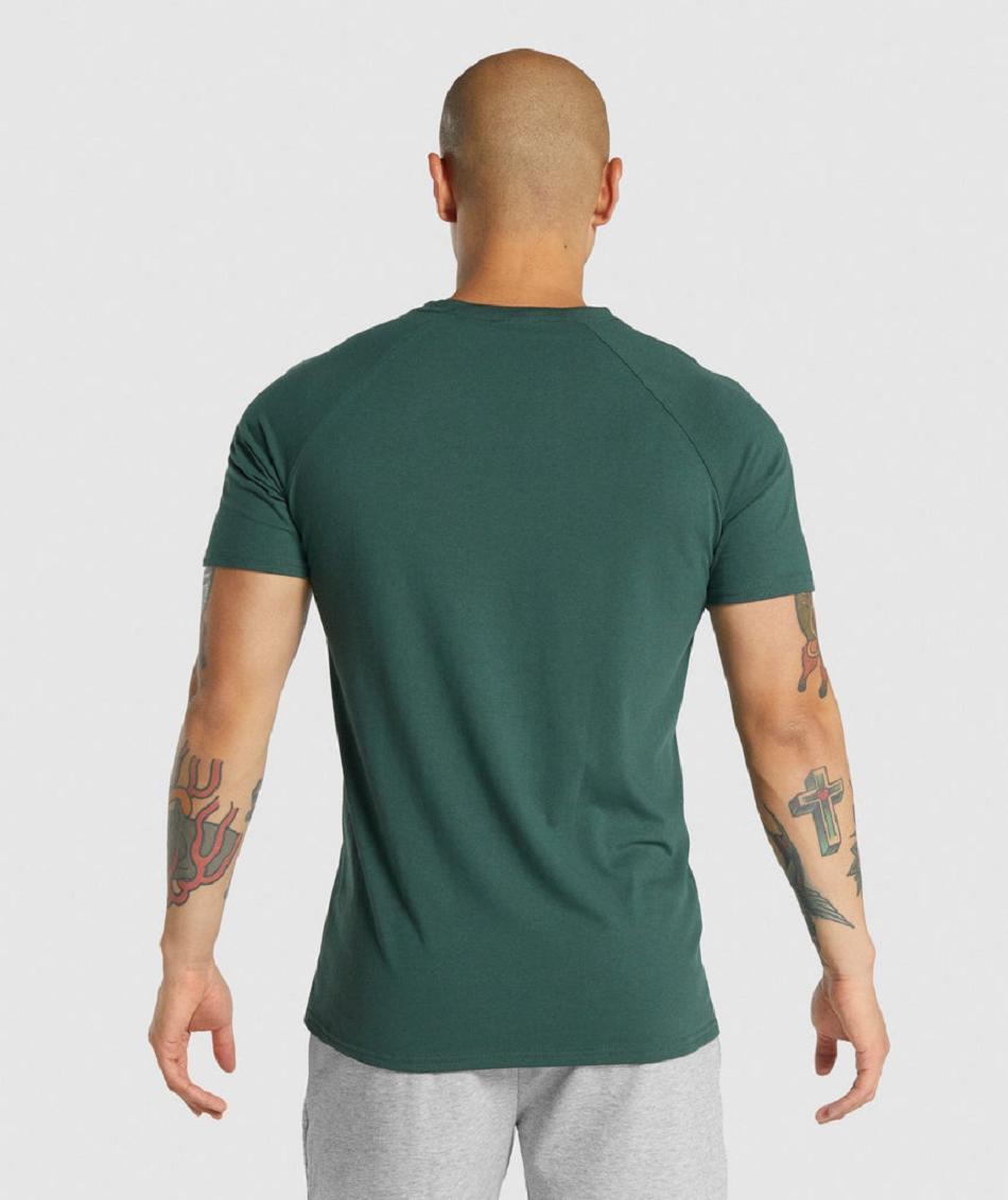 T Shirts Gymshark Critical 2.0 ανδρικα σκούρο πρασινο | GR_EC6089